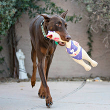 Load image into Gallery viewer, Outward Hound Squawkers Latex Rubber Henrietta Chicken Large