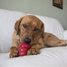Load image into Gallery viewer, KONG® Snacks® Bacon & Cheese Large