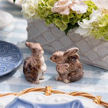 Load image into Gallery viewer, Clever Creatures Bunny Salt and Pepper Set - By Juliska