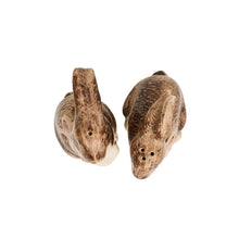 Load image into Gallery viewer, Clever Creatures Bunny Salt and Pepper Set - By Juliska