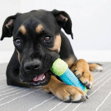 Load image into Gallery viewer, KONG® CoreStrength™ Bone Dog Chew Toy Small/Medium