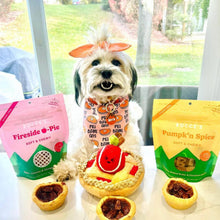 Load image into Gallery viewer, Bocce's Bakery Pumpk'n Spice Soft & Chewy Dog Treats 6oz