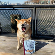 Load image into Gallery viewer, Polkadog Clam Chowda Training Bits Crunchy Dog & Cat Treats