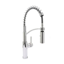 Load image into Gallery viewer, Euro-Pro pull-down KITCHEN FAUCET