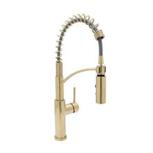 Load image into Gallery viewer, Euro-Pro pull-down KITCHEN FAUCET