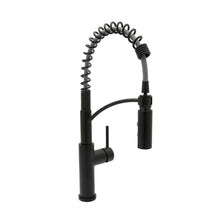 Load image into Gallery viewer, Euro-Pro pull-down KITCHEN FAUCET
