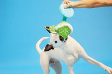 Load image into Gallery viewer, BARK Muy Squeaky Margarita
