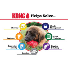 Load image into Gallery viewer, KONG® Classic Dog Chew Toy Medium
