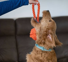 Load image into Gallery viewer, ThoozyPet Ball Tug Rope Dog Toy with Handle Orange 5"