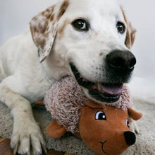 Load image into Gallery viewer, KONG® Comfort HedgeHug Dog Plush Toy Assorted Medium