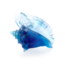 Load image into Gallery viewer, Coral Sea Large Conch Shell