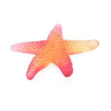 Load image into Gallery viewer, Coral Sea Amber Red Starfish