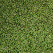 Load image into Gallery viewer, Grass Carpet