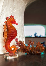 Load image into Gallery viewer, Coral Sea Amber Red Medium Bowl