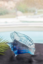Load image into Gallery viewer, Coral Sea Large Conch Shell