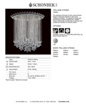 Load image into Gallery viewer, Close to Ceiling - Trilliane Strands Collection by Schonbek
