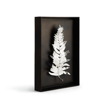 Load image into Gallery viewer, Fern Shadow Box - Aqnk - By Michael Aram
