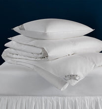 Load image into Gallery viewer, Standard Pillow 20X26 20 Oz Firm - Buxton Collection - By Sferra