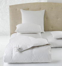 Load image into Gallery viewer, Queen Duvet 90X94 33Oz - Dover Collection - By Sferra