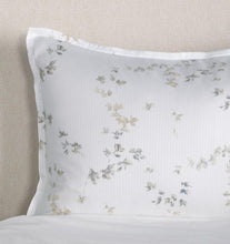 Load image into Gallery viewer, Sferra - Tenora Collection - Standard Sham 21X26