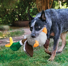 Load image into Gallery viewer, KONG® Shakers™ Honkers Duck Dog Plush Toy Large
