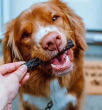 Load image into Gallery viewer, Etta Says! Crunchy Duck Dog 4in Chews POS Display Box 36ct
