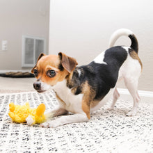 Load image into Gallery viewer, KONG® Dr. Noyz Duck Plush Dog Toy Small

