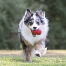 Load image into Gallery viewer, KONG® Classic Dog Chew Toy Medium
