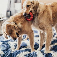 Load image into Gallery viewer, KONG® Ring Dog Chew Toy Small/Medium
