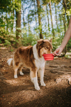 Load image into Gallery viewer, Messy Mutts Silicone Collapsible Bowl Watermelon
