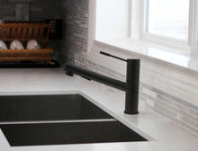 Load image into Gallery viewer, EURO PULL-OUT KITCHEN
FAUCET
