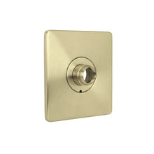 Load image into Gallery viewer, SHOWER  VALVE TRIM FACE PLATE
