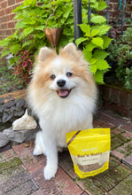 Load image into Gallery viewer, Bocce's Bakery Bac'N Nutty Soft &amp; Chewy Dog Treats 6oz
