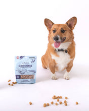 Load image into Gallery viewer, Polkadog Clam Chowda Training Bits Crunchy Dog &amp; Cat Treats
