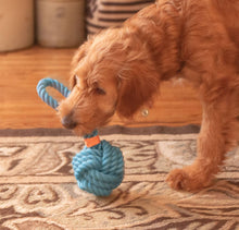 Load image into Gallery viewer, ThoozyPet Ball Tug Rope Dog Toy with Handle Blue 5"
