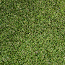 Load image into Gallery viewer, Grass Carpet
