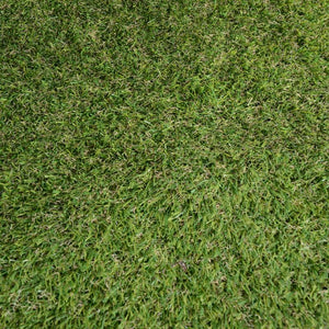 Grass Carpet