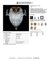 Load image into Gallery viewer, Close to Ceiling - Bagatelle Collection by Schonbek
