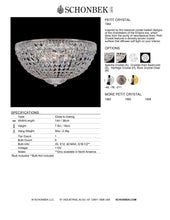 Load image into Gallery viewer, Close to Ceiling - Petit Crystal Collection by Schonbek
