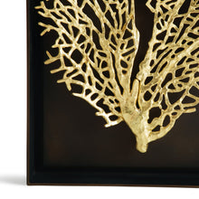 Load image into Gallery viewer, Fan Coral Shadow Box - By Michael Aram
