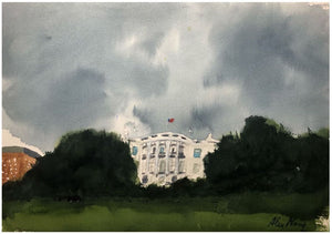 Storm over the White House