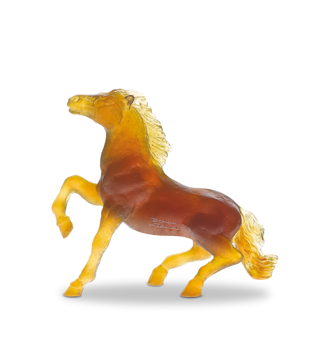 Brown Wild Horse by Jean-FranÃ§ois Leroy