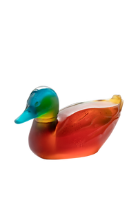 Mallard Duck