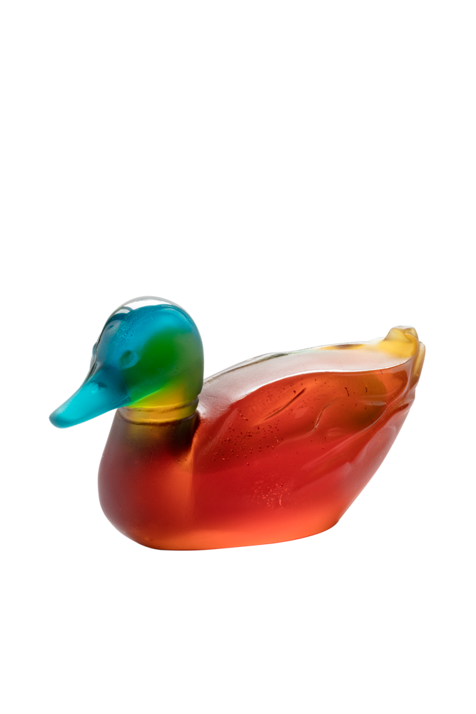 Mallard Duck