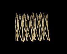 Load image into Gallery viewer, Asparagus Trivet
