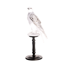 Load image into Gallery viewer, Gyrfalcon by Madeleine van der Knoop 50 ex
