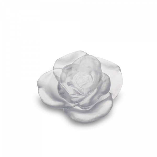 Rose Passion Decorative Flower in White