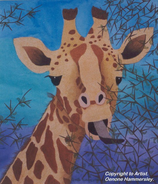Giraffe Eating, Tarangire
