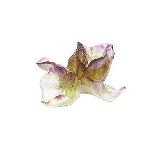 Iris Decorative Flower
