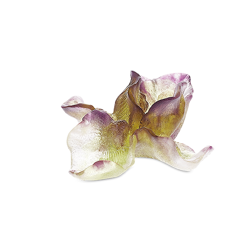 Iris Decorative Flower